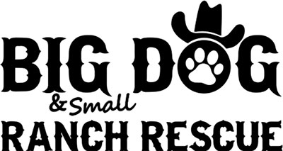 Big Dog & Small Ranch Rescue